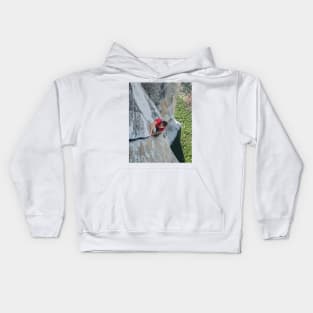 Alex Honnold Free Solo El Cap Painting Kids Hoodie